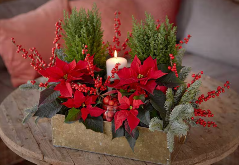 Todo lo que debes saber para tener un arreglo floral navideño espectacular