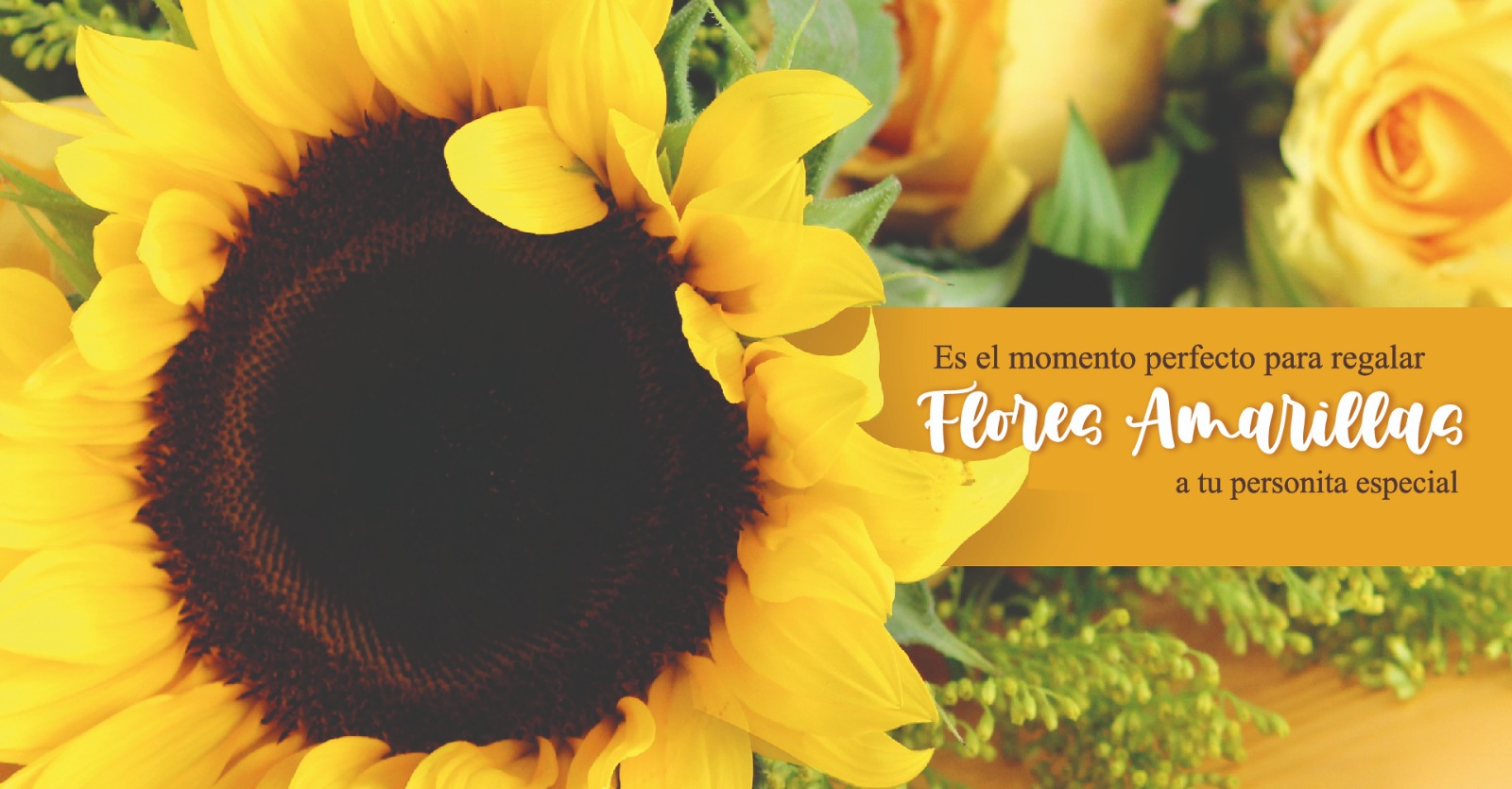 Escoge las mejores flores para celebrar el Día de las Flores Amarillas