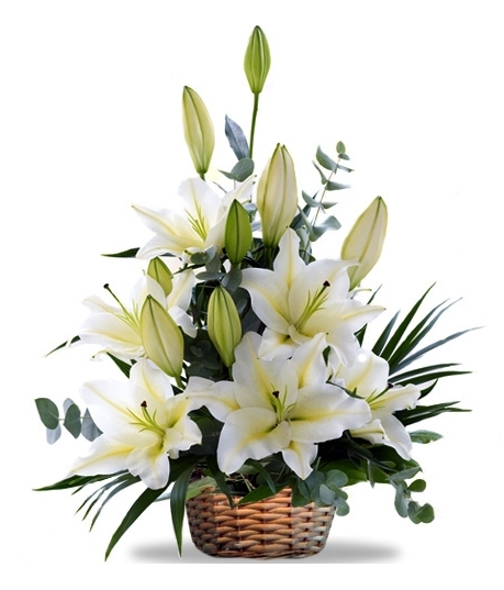 Arreglos florales para Condolencias