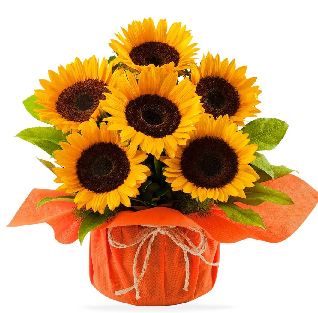 Arreglos florales para Cumpleaños