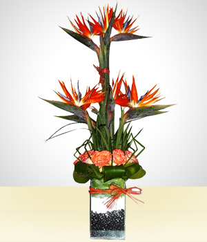 Arreglos florales para hombres