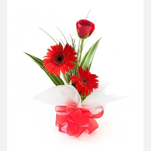 Arreglos Florales para Bodas