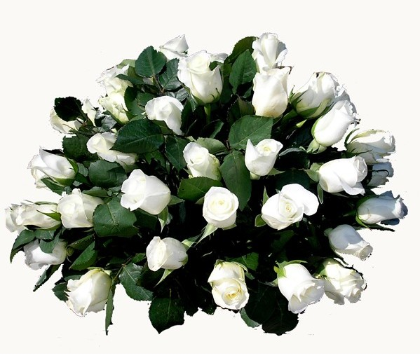 Arreglos florales para Condolencias