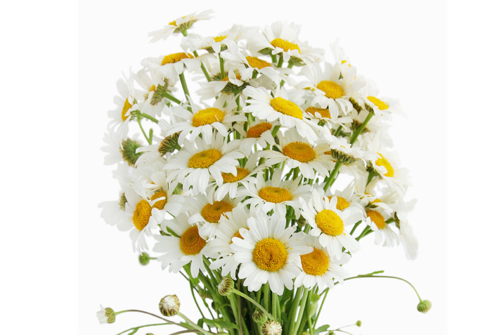 Arreglos florales para Bautizo