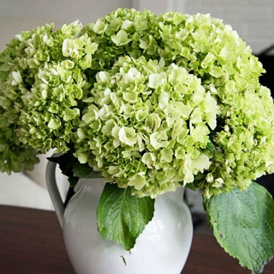 Arreglos Florales para Bodas