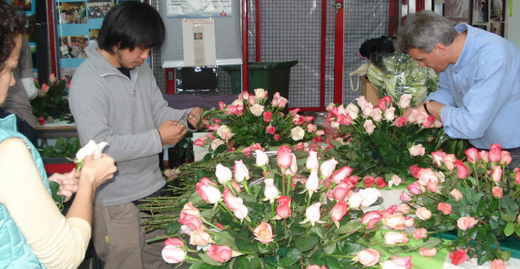 Conoce los cursos y eventos de Arreglos Florales en Latinoamérica este 2024