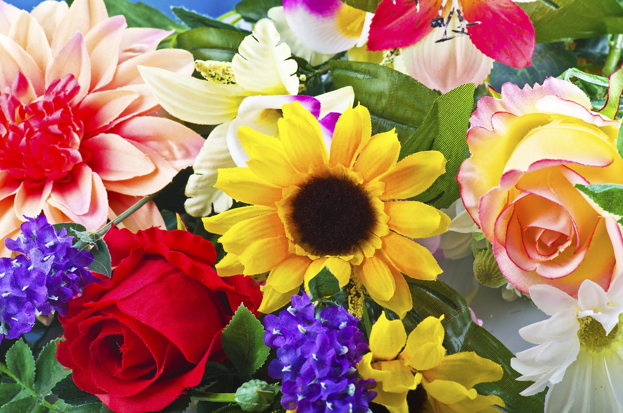 Tips: Conoce el significado de las flores para cada ocasión